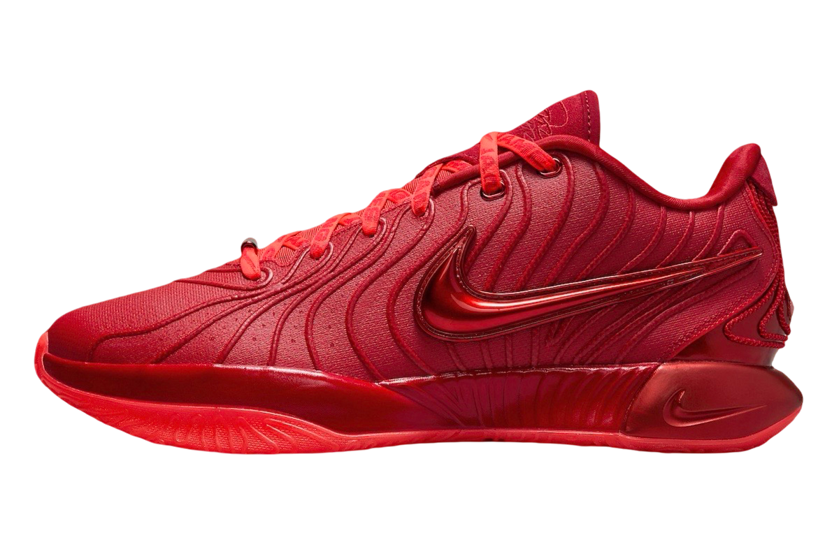 Nike LeBron 21 James Gang