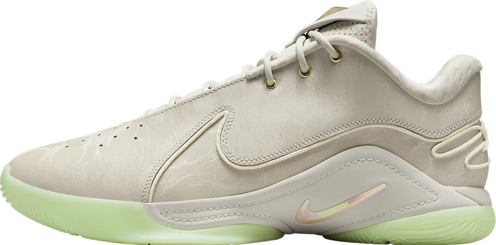 Nike Lebron 22 Dunkman