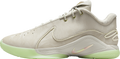 Nike Lebron 22 Dunkman