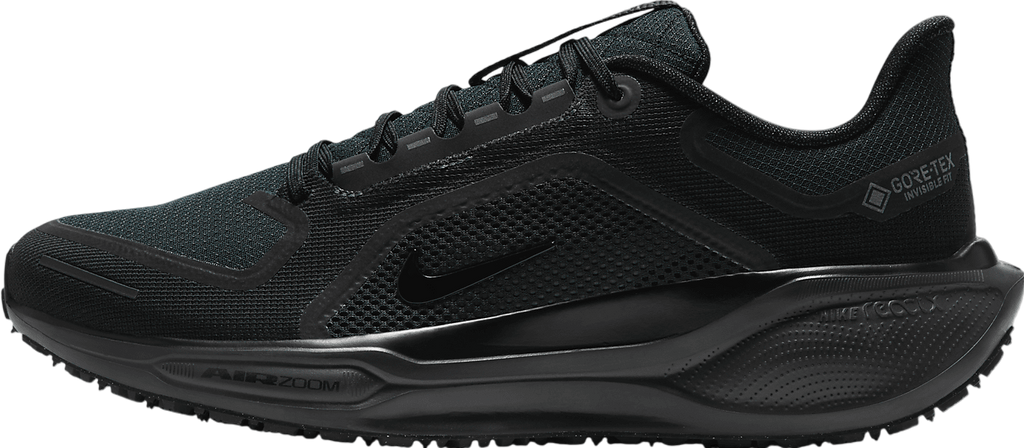 Nike Pegasus 41 Gore-Tex Black / Anthracite / Black