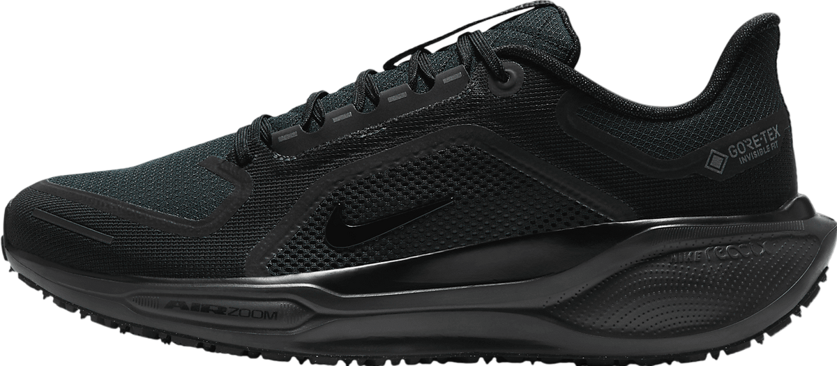 Nike Pegasus 41 Gore-Tex Black / Anthracite / Black