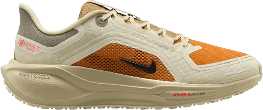 Nike Pegasus 41 Gore-Tex Running Poets