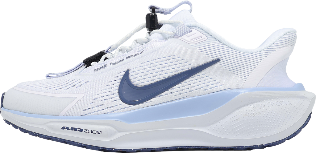 Nike Pegasus Easyon WMNS White / Diffused Blue