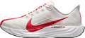 Nike Pegasus Plus Platinum Tint / Phantom / University Red