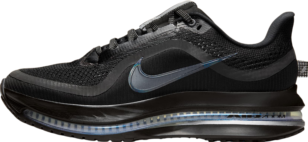Nike Pegasus Premium WMNS Black / Metallic Silver
