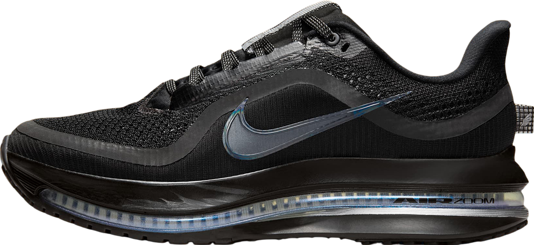 Nike Pegasus Premium WMNS Black / Metallic Silver