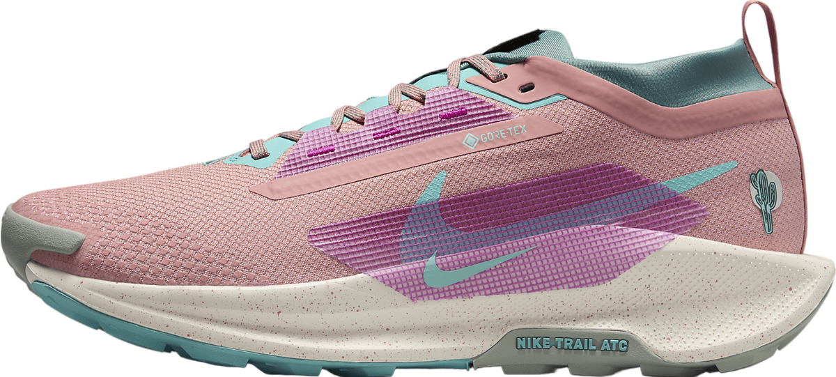 Nike Pegasus Trail 5 GORE-TEX Red Stardust / Bicoastal