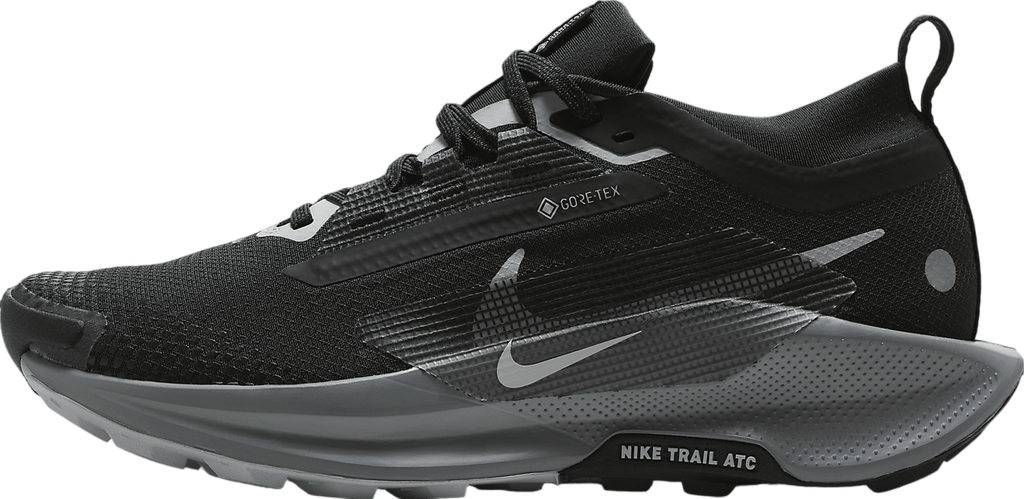 Nike Pegasus Trail 5 GORE-TEX WMNS Black / Cool Grey