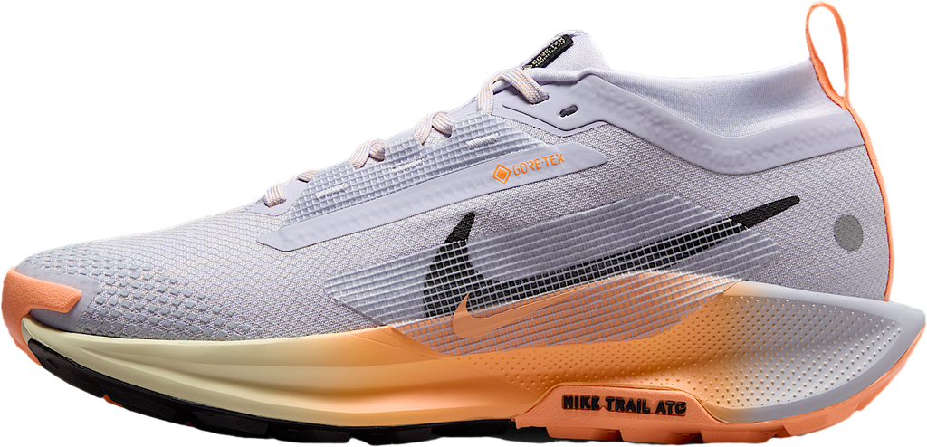 Nike Pegasus Trail 5 Gore-Tex WMNS Ghost / Malt