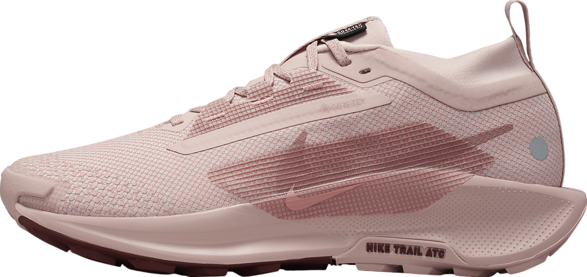 Nike Pegasus Trail 5 Gore-Tex WMNS Pink Oxford / Red Sepia