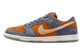 Nike SB Dunk Low Light Carbon