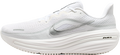Nike Winflo 12 White / Summit White