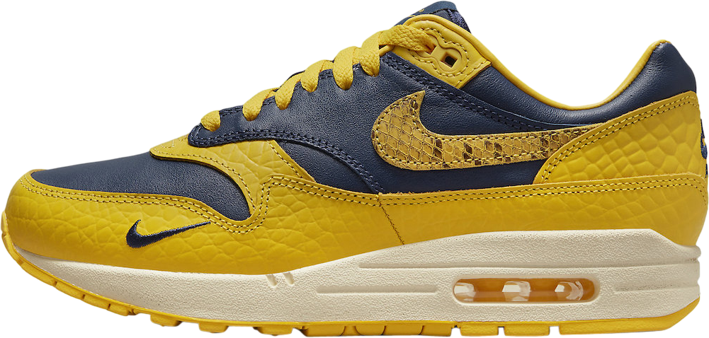 Nike WMNS Air Max 1 CO.JP Michigan