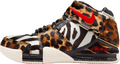 Nike Zoom LeBron 2 Beast